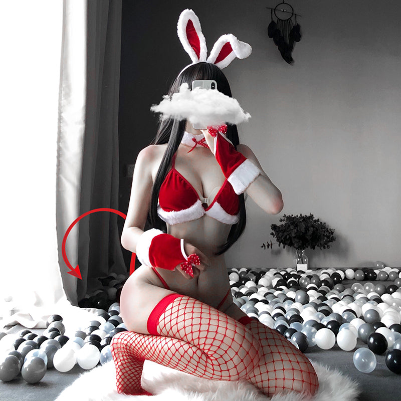 Enchanted Holiday Lace Intimates