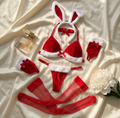 Enchanted Holiday Lace Intimates